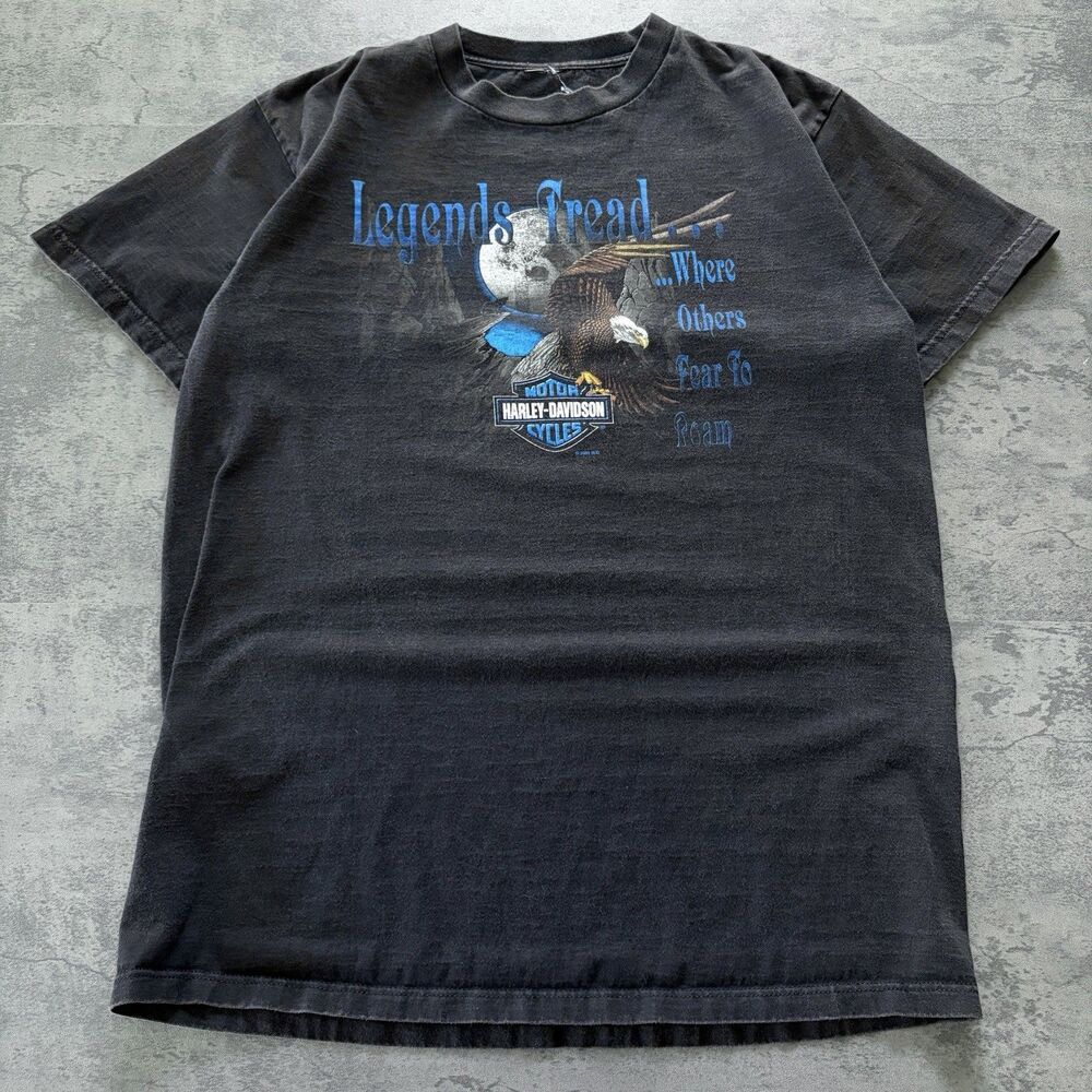 VTG Y2K Harley-Davidson Eagle Mountains Nature Logo Graphic T-Shirt Grunge L